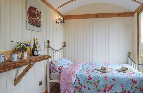 Caersws Cabaña | The Shearers Hut-UK39774
