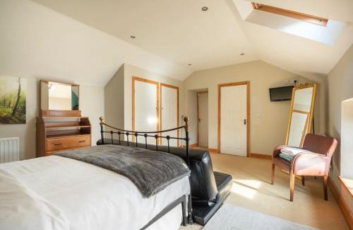 Coxhoe Casa | The Shed