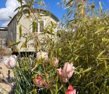 Brackley Casa | The Shepherd's Hut