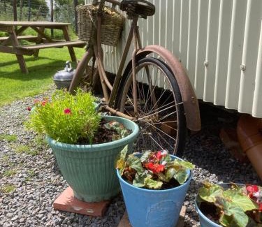Hillsborough Chalet De Esquí | The Shepherds Hut