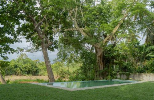 Hikkaduwa Cabina | The Smiling Leaf