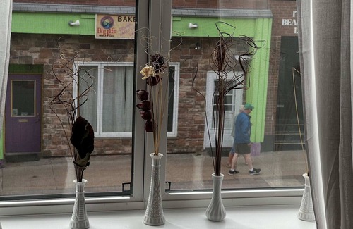 Downtown Apartamento | The Smokestacks, Authentic NS Experience