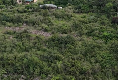 Nairobi Cabina | The Soap House - Entire Bush cottage