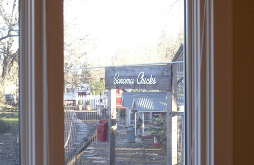 Sonoma Cabaña | The Sonoma Nest, A charming farm experience