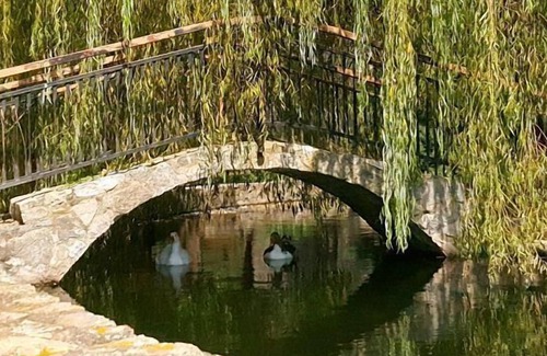 Arbucies Cabaña | el sonido del agua llega a todos los rincones, junto al canto de los pájaros