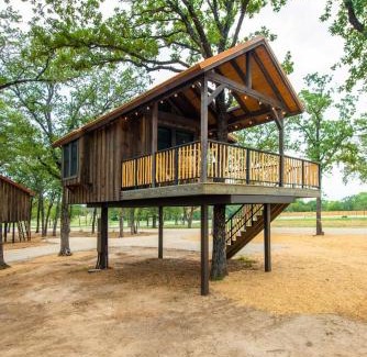Elm Mott Otro | The Sparrow Treehouse 15 MIN to Magnolia Baylor