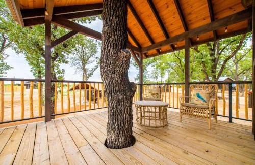 Elm Mott Otro | The Sparrow Treehouse 15 MIN to Magnolia Baylor