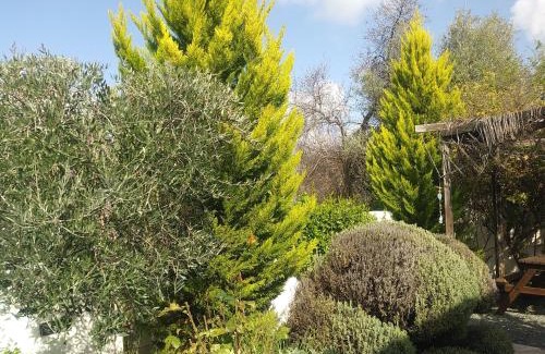Laneia Casa | The Spidaki