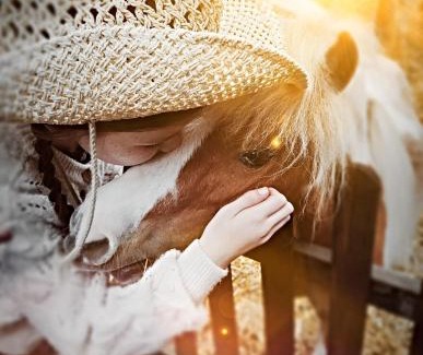Dogdyke Casa | The Stable Annexe with hot tub & horses