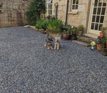 Kilgreaney Casa | The Stables at Lorum Old Rectory