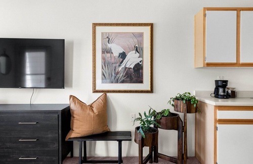 Paradise Apartamento | The Sutter | Private Studio in Paradise