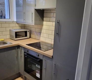 Crystal Palace Apartamento | The Sydenham Snug