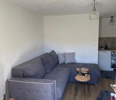 Kremna Chalet De Esquí | The Tara Concept