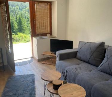 Kremna Chalet De Esquí | The Tara Concept