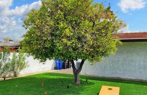 Racquet Club West Villa | The Tiger House Palm Springs, Stylish Relaxing Oasis, Spectacular MTN Views