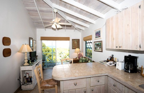 Great Exuma Cabaña | La casa del árbol - un nido Pacífica acogedor para su Exuma Aventura