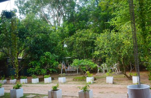 Anuradhapura Casa | The Tree House VIP Cottage Anuradhapura