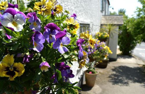 Axminster Hotel | The Tytherleigh Arms