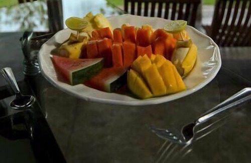 Rajawella Cama Y Desayuno | The Victoria Nest Bungalow