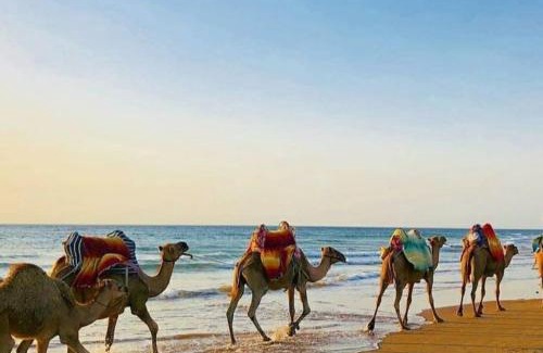 Asilah Apartamento | The View Assilah