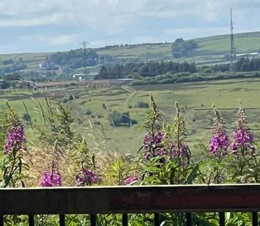 Belthorn Casa | The View