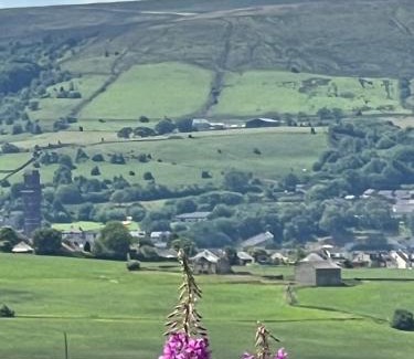 Belthorn Casa | The View