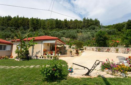 Fanari Casa | The View