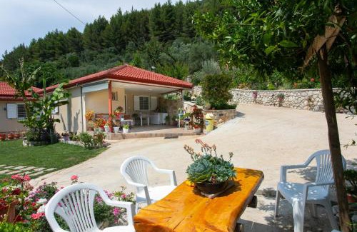 Fanari Casa | The View