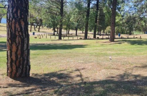 Sasolburg Complejo | The View on Vaal Resort