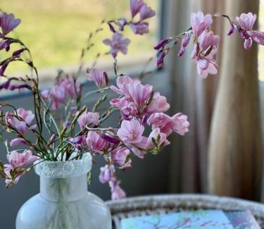 Severnlea Casa | The Vigneron's Cottage at Dragonfly Estate Vineyard - Stanthorpe