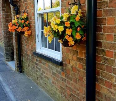 Alford Cama Y Desayuno | The Vine B & B