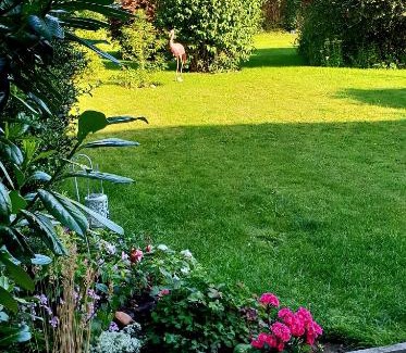 Alford Cama Y Desayuno | The Vine B & B
