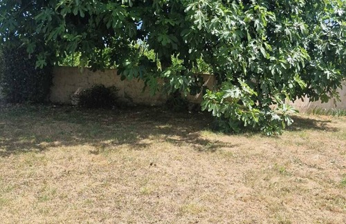 Montsoreau Casa | The vineyard garden
