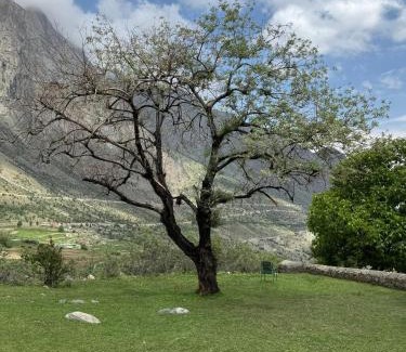 Naltar Valley Otro | The Walnut Tree Lodge, Naltar