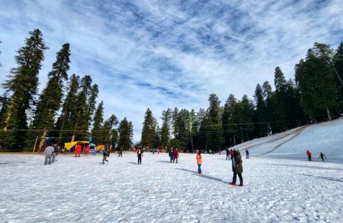 Narkanda Hotel | The White Season Residency