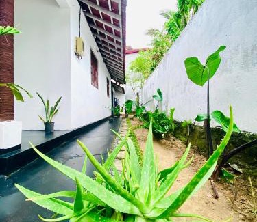 Thiranagama Villa | The White Villa