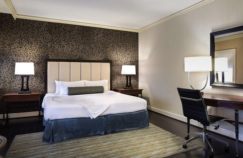 Central Business District Hotel | The Whitehall Houston