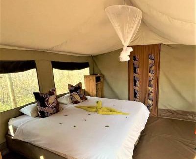 Thorny Bush Game Reserve Otro | The Wild Olive Tree Camp
