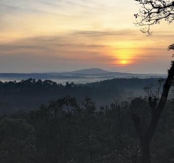 Madikeri Casa | The willows