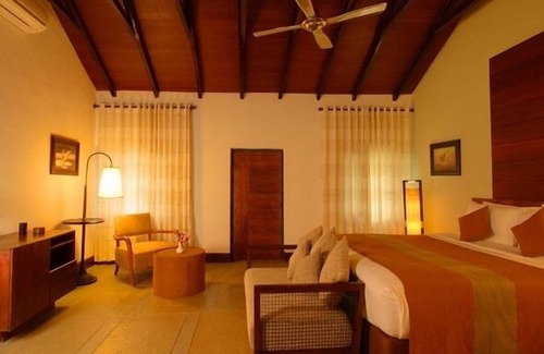 Bandipur Complejo | The Windflower Jungle Resorts and Spa