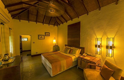 Bandipur Complejo | The Windflower Jungle Resorts and Spa