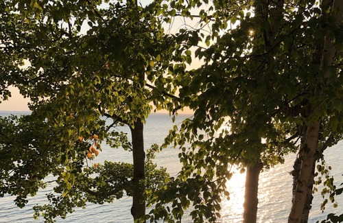Northport Casa | The Yellow Cottage