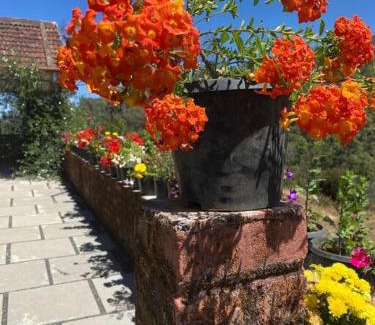 Naduvattam Casa | Thendral: Delightful homestay on a hill near Ooty