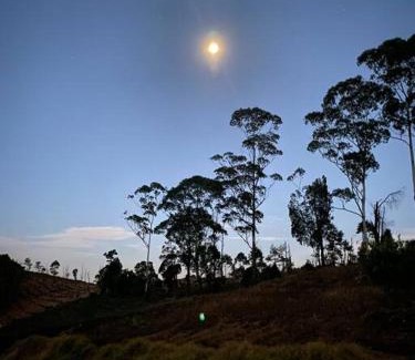 Naduvattam Casa | Thendral: Delightful homestay on a hill near Ooty