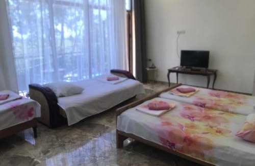 Kobuleti Hotel | THEODORE-Hotel