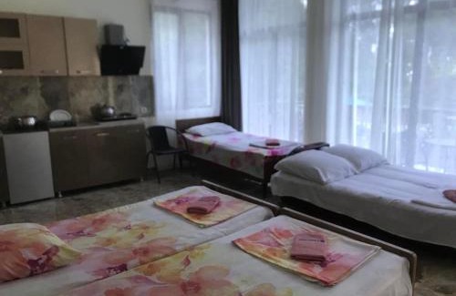 Kobuleti Hotel | THEODORE-Hotel