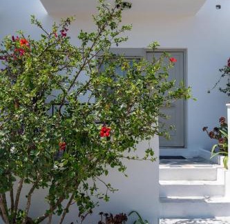 Kefalos Apartamento | Thines studio B