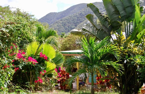 Upper Carolina Casa | Piense en todo el dinero que ahorrará: limpio, acogedor y conveniente