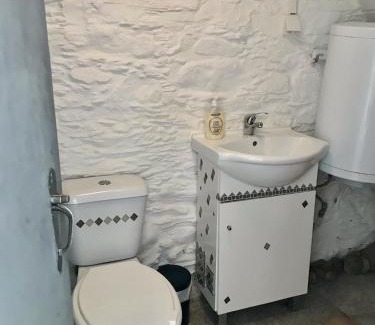 Sarzedas Casa | Thistle Cottage Alojamento Local