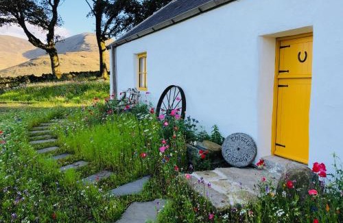 Newry Casa | Thistle Thatch Cottage and Hot Tub - Mourne Mountains